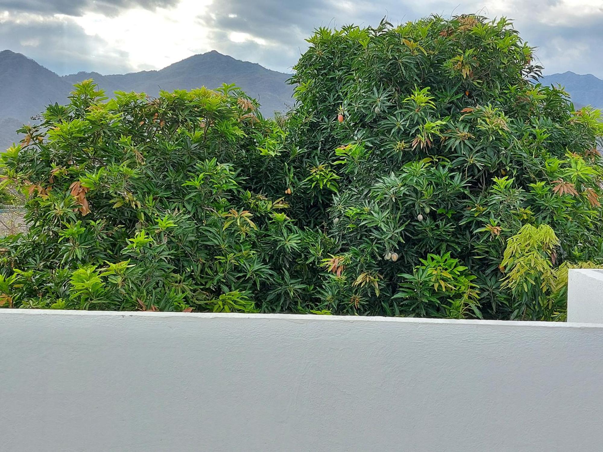 Casa Bacoba Apartman Santa Marta  Kültér fotó